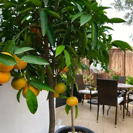 Apartament Mateo *